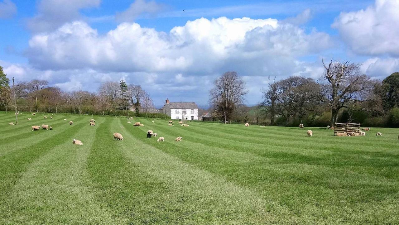 Bed and Breakfast Lovaton Farmhouse Okehampton Exterior foto