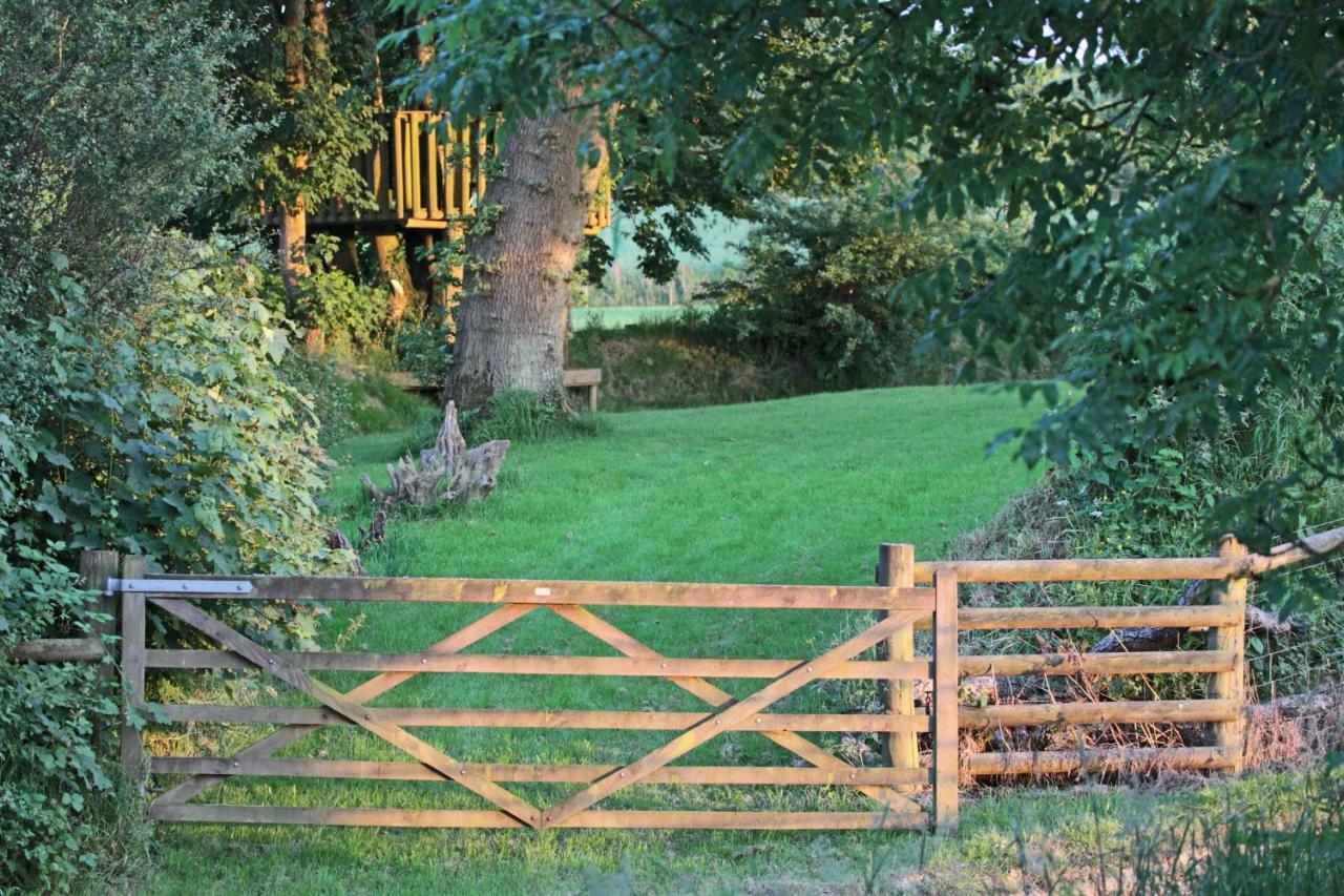 Bed and Breakfast Lovaton Farmhouse Okehampton Exterior foto