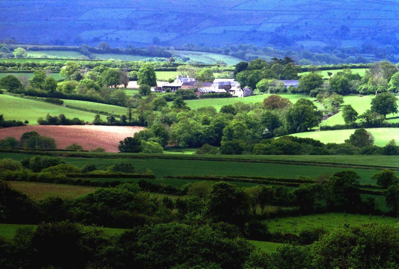 Bed and Breakfast Lovaton Farmhouse Okehampton Exterior foto