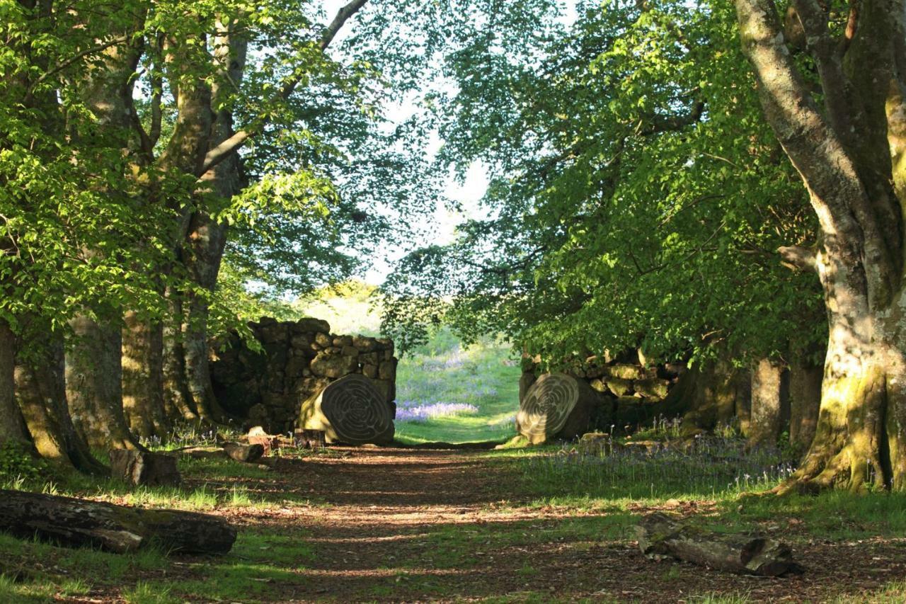 Lovaton Farmhouse Okehampton Exterior foto