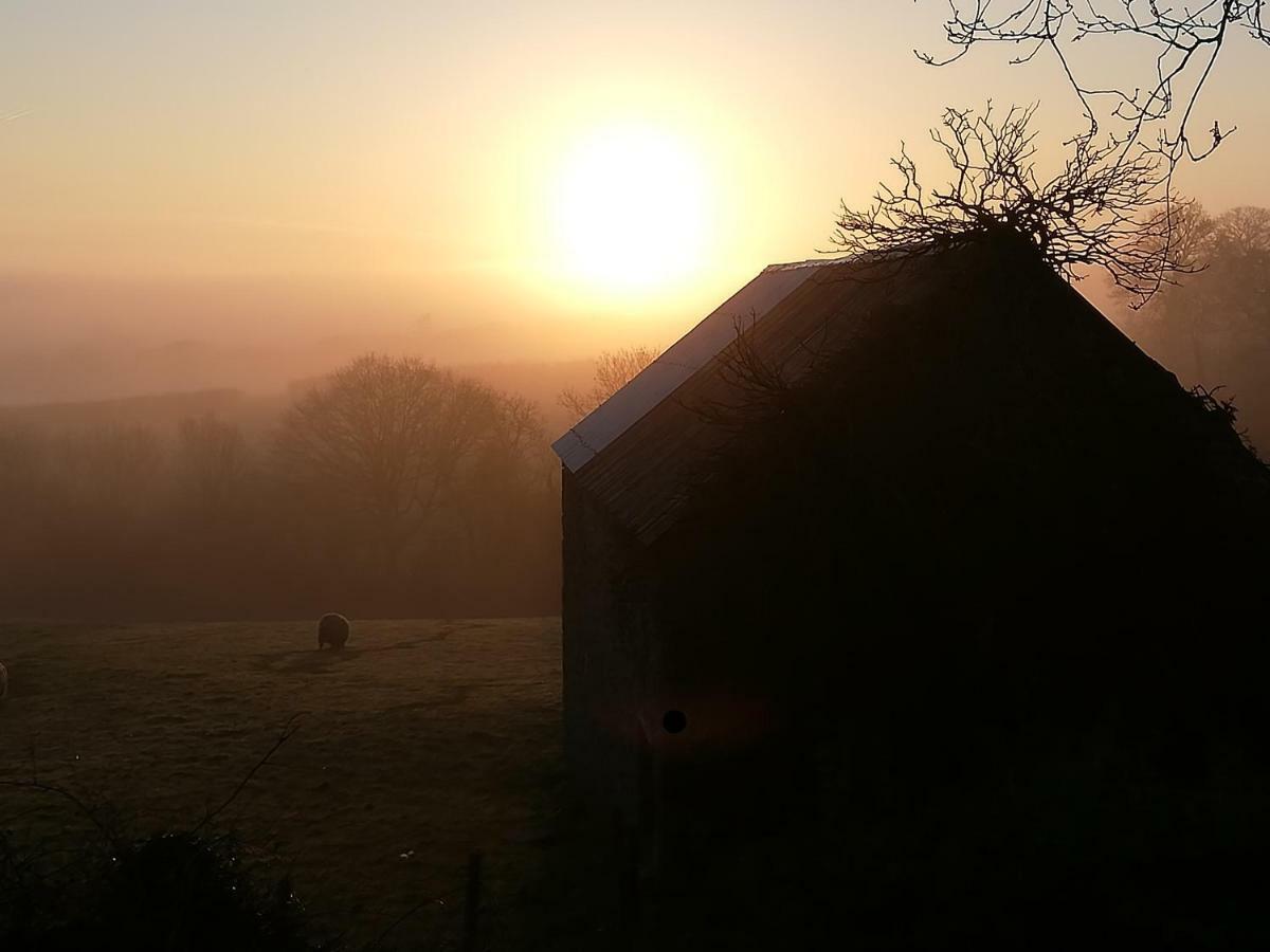 Bed and Breakfast Lovaton Farmhouse Okehampton Exterior foto