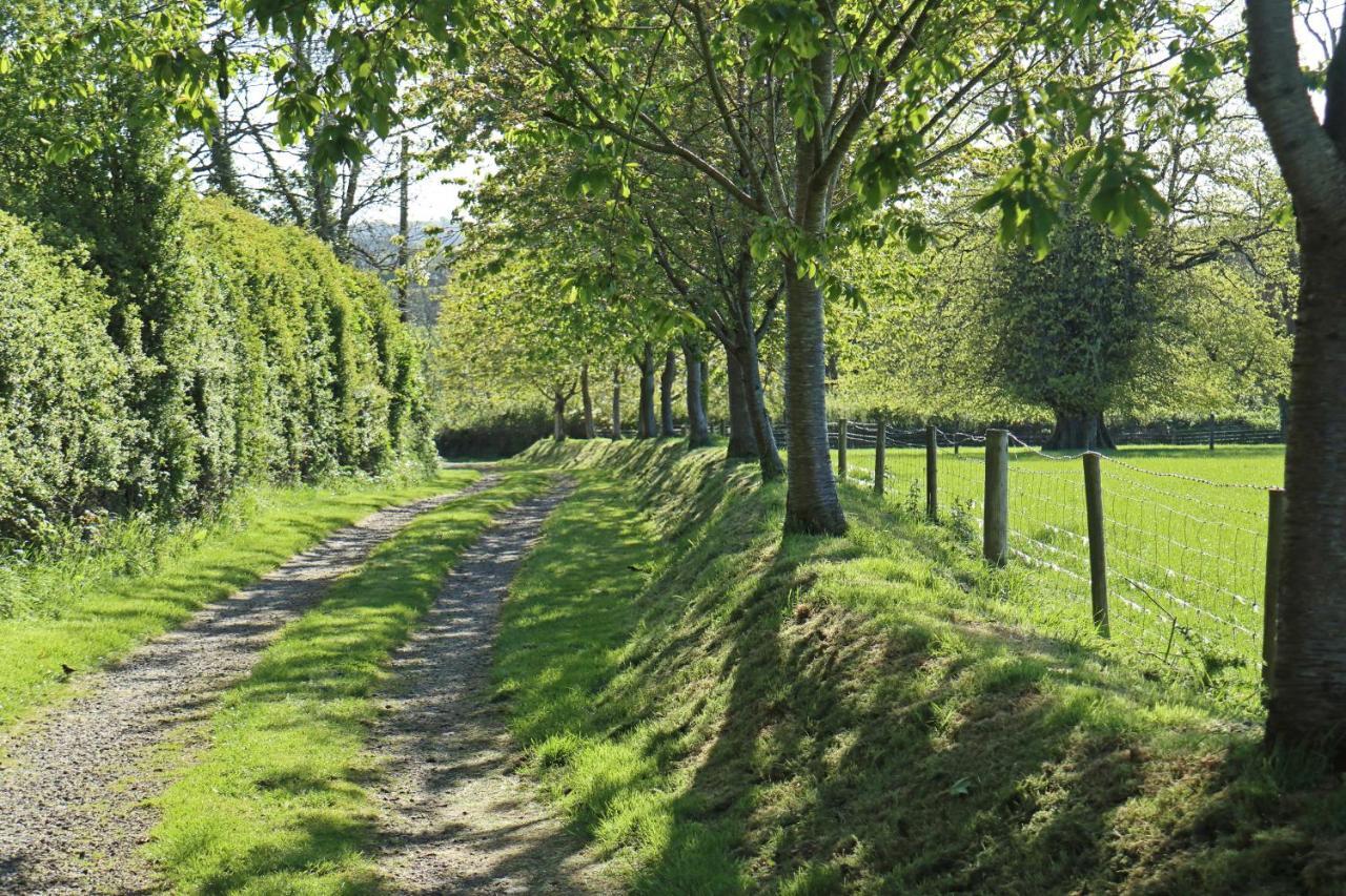 Bed and Breakfast Lovaton Farmhouse Okehampton Exterior foto